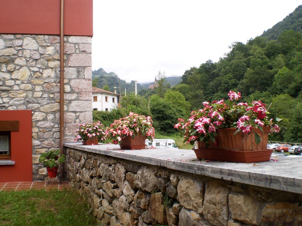 La Llosa de Repelao Covadonga Exterior foto